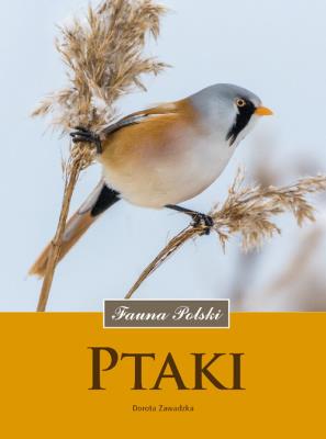Ptaki Fauna Polski. Autor: Dorota Zawadzka. SmakLiter.pl Okładka książki Ptaki Fauna Polski