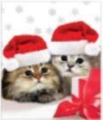 Opakowanie Torba prezentowa 26x32