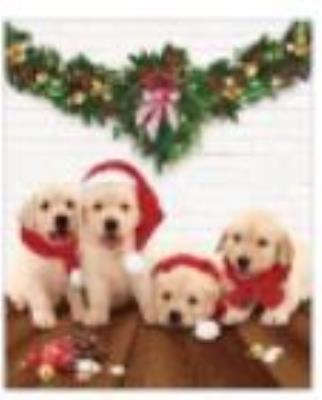 Opakowanie Torba prezentowa 26x32