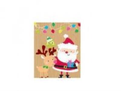 Opakowanie Torebka prezentowa 18x23