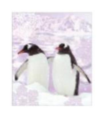 Opakowanie Torebka prezentowa 18x23