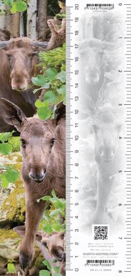 Opakowanie Zakładka 3D - Łoś