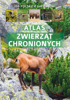 Atlas zwierząt chronionych w Polsce. Autor: Twardowska Kamila, Twardowski Jacek. SmakLiter.pl Okładka książki Atlas zwierząt chronionych w Polsce