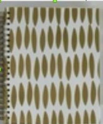 Opakowanie Kołonotes 80K Złote paski PAUL&CO