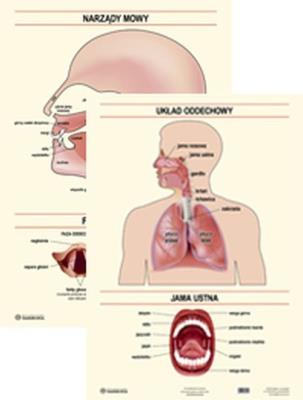Opakowanie Plansza Narządy mowy Układ oddechowy