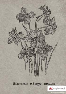 Wiersze złego czasu. Autor: Renk Jarosław. SmakLiter.pl Okładka książki Wiersze złego czasu