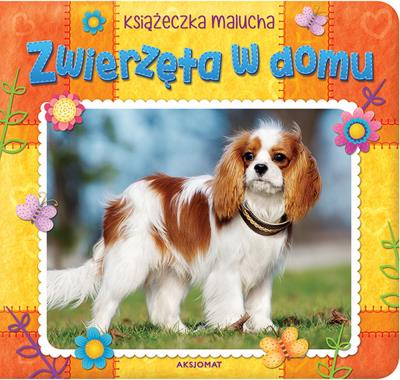 Okładka książki Zwierzęta w domu. Książeczka malucha