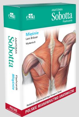 Anatomia Sobotta Flashcards. Mięśnie. Polskie mianownictwo anatomiczne. Autor: Bräuer L.. SmakLiter.pl Okładka książki Anatomia Sobotta Flashcards. Mięśnie. Polskie mianownictwo anatomiczne