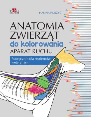 Okładka książki Anatomia zwierząt do kolorowania. Aparat ruchu. Podręcznik dla studentów weterynarii