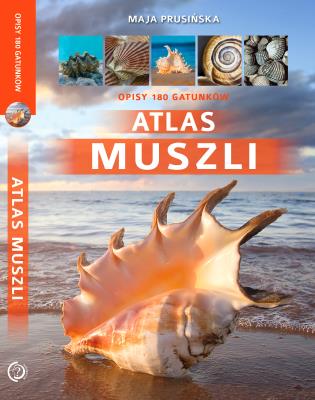 Atlas muszli. Autor: Maja Prusińska. SmakLiter.pl Okładka książki Atlas muszli