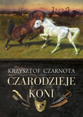 Okładka książki Czarodzieje koni