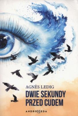 Dwie sekundy przed cudem. Autor: Ledig Agnès. SmakLiter.pl Okładka książki Dwie sekundy przed cudem