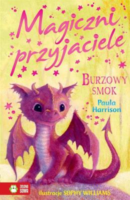Magiczni przyjaciele Burzowy smok. Autor: Harrison Paula. SmakLiter.pl Okładka książki Magiczni przyjaciele Burzowy smok