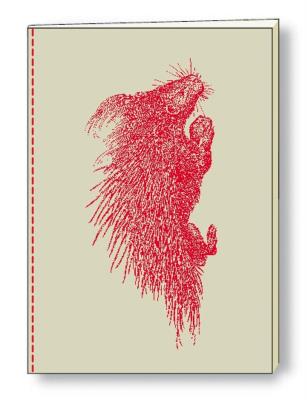 Opakowanie Notatnik ozdobny A5 64 kartki BR NB S09A