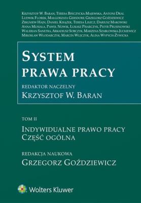 Okładka książki System prawa pracy Tom 2 Indywidualne prawo pracy Część ogólna