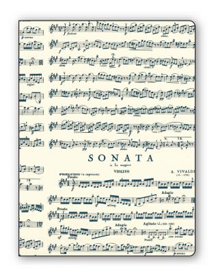 Okładka książki Teczka na dokumenty FF V20B