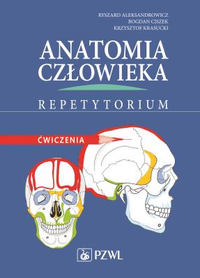 Anatomia człowieka. Repetytorium. Autor: Aleksandrowicz Ryszard, Ciszek Bodan, Krasucki Krzysztof. SmakLiter.pl Okładka książki Anatomia człowieka. Repetytorium