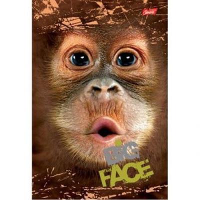 Opakowanie Brulion B5 Big Face w kratkę 160 stron