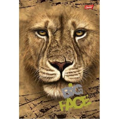 Opakowanie Brulion B5 w kratkę 160 kartek Lew