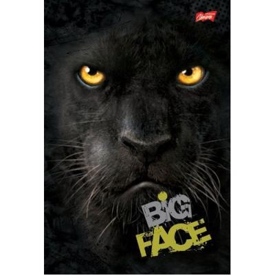 Opakowanie Brulion B5 w kratkę 160 kartek Puma