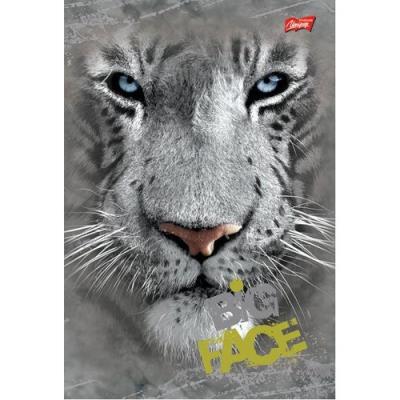 Opakowanie Brulion B5 w kratkę 160 kartek Tygrys