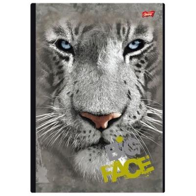 Opakowanie Kołobrulion A4 w kratkę 120 kartek Tygrys