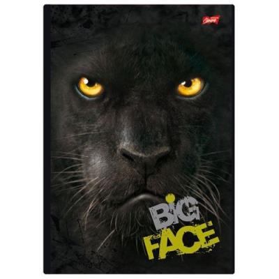 Opakowanie Kołobrulion A4 w kratkę 120 kartek