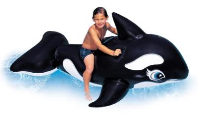 Opakowanie Orka pływająca czarno-biała