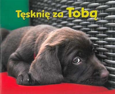 Perełka 271 - Tęsknię za Tobą. Autor: Opracowanie zbiorowe. SmakLiter.pl Okładka książki Perełka 271 - Tęsknię za Tobą