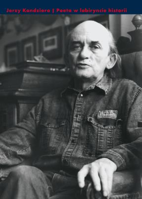 Okładka książki Poeta w labiryncie historii