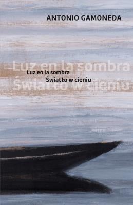 Okładka książki Światło w cieniu