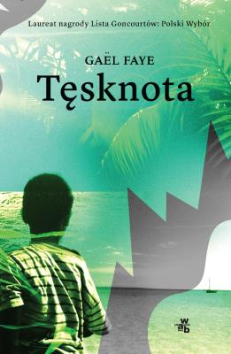 Tęsknota. Autor: Faye Gaël. SmakLiter.pl Okładka książki Tęsknota