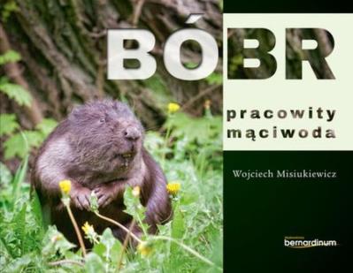 Bóbr pracowity mąciwoda. Autor: Wojciech Misiukiewicz. SmakLiter.pl Okładka książki Bóbr pracowity mąciwoda