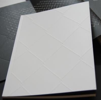 Opakowanie Dominik Lejman Płot - katalog do wystawy