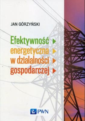 Efektywność energetyczna w działalności gospodarczej. Autor: Górzyński Jan. SmakLiter.pl Okładka książki Efektywność energetyczna w działalności gospodarczej
