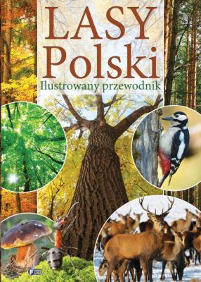 Lasy Polski. Autor: Opracowanie zbiorowe. SmakLiter.pl Okładka książki Lasy Polski