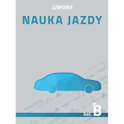 Nauka jazdy kategoria B. Autor: Wasiak Mariusz, Marek Tomaszewski, Papuga Zbigniew. SmakLiter.pl Okładka książki Nauka jazdy kategoria B