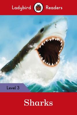Opakowanie Sharks Level 3