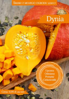 Dynia. Autor:   Praca zbiorowa. SmakLiter.pl Okładka książki Dynia