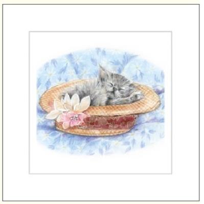 Opakowanie Karnet rysowany kot w kapeluszu 16x16 + koperta