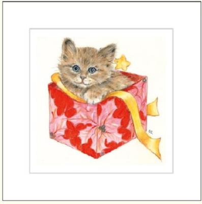 Opakowanie Karnet rysowany kot w pudełku 16x16 + koperta