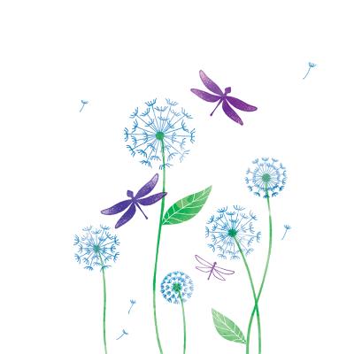 Opakowanie Karnet Swarovski Dmuchawce i ważki