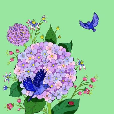 Opakowanie Karnet Swarovski kwadrat kwiaty jasna zieleń