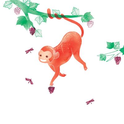 Opakowanie Karnet Swarovski kwadrat Małpka