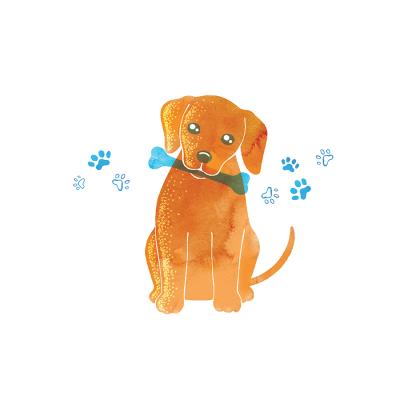 Okładka książki Karnet Swarovski kwadrat Piesek z kością