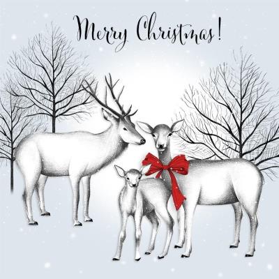 Opakowanie Karnet Swarovski kwadrat Święta Białe renifery Napis