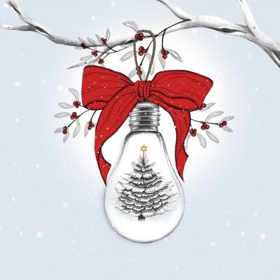 Opakowanie Karnet Swarovski kwadrat Święta Choinka w żarówce