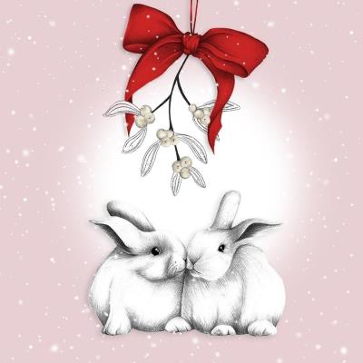 Opakowanie Karnet Swarovski kwadrat Święta Króliki