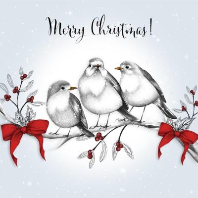 Opakowanie Karnet Swarovski kwadrat Święta Ptaszki na gałęzi Napis