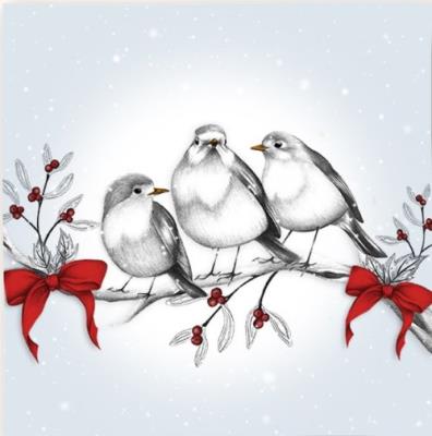 Opakowanie Karnet Swarovski kwadrat Święta Ptaszki na gałęzi